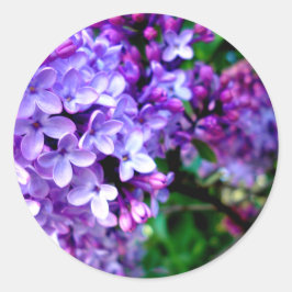 Lilacs Runder Aufkleber
