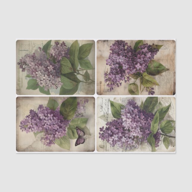 Lilacs Seidenpapier (Vorderseite)