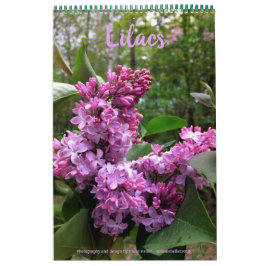 Lilacs—TOUS LES LILACS ! !  calendrier photo