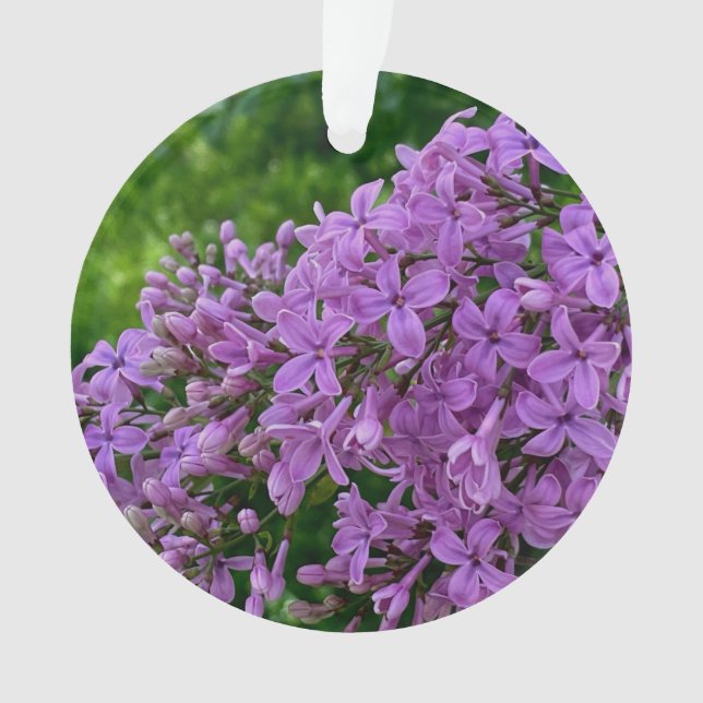 Lilas violet romantique élégant violet photo flora (devant)