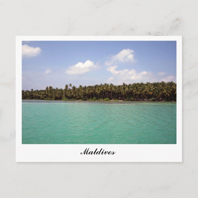 L'île aux Maldives Carte postale (Devant)