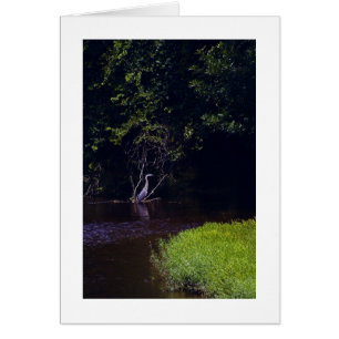 L'île de Perceval, Lynchburg la Virginie