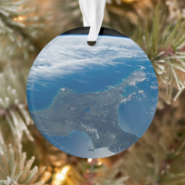 L'île du Nord de la Nouvelle-Zélande. (Arbre)