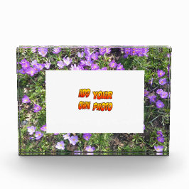 Lilette Blumen Kruste. Fotoblock