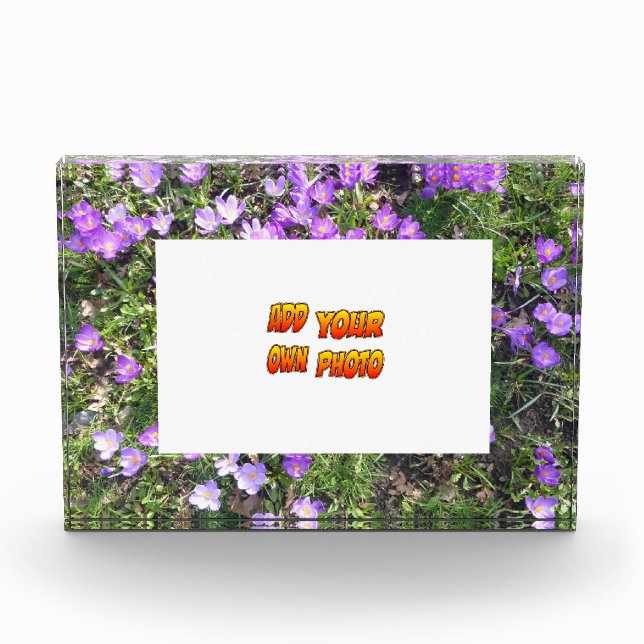 Lilette Blumen Kruste. Fotoblock (Vorderseite)