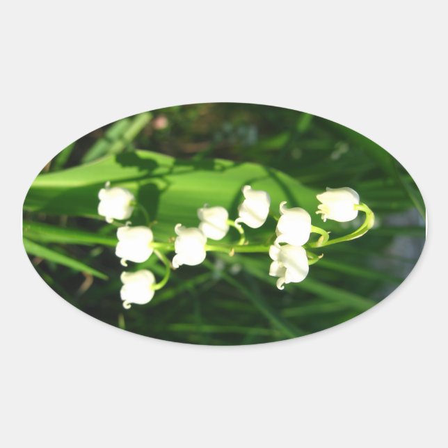 Lilie der Blume Ovaler Aufkleber (Vorderseite)