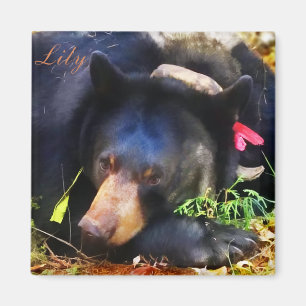 Lilie der schwarze Bär mit Band-Magneten Magnet