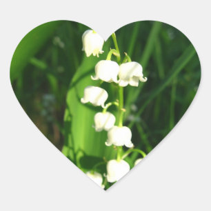 Lilie der Tal-Blumen Herz-Aufkleber