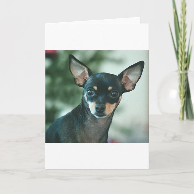 Lilie Karte (Vorderseite)