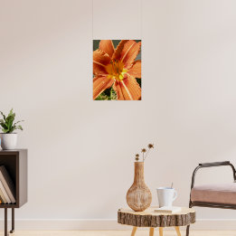 Lilie Poster