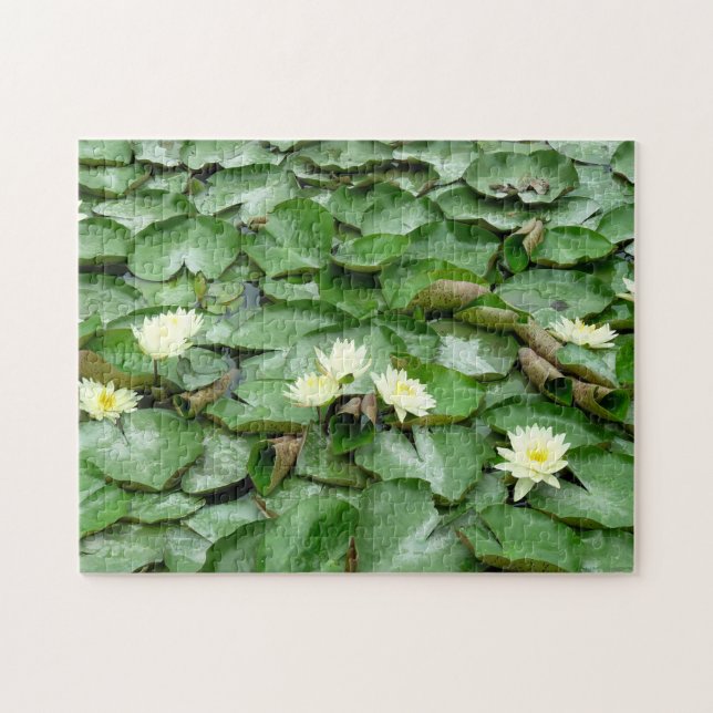 Lilien (Horizontal)