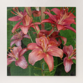 Lilien