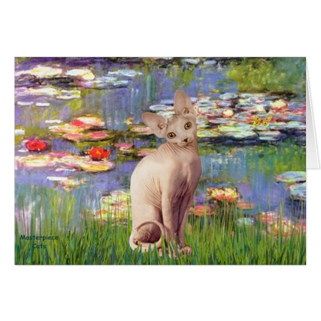 Lilien 2 - Creme Sphynx cat (Vorderseite (Horizontal))