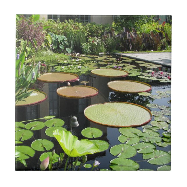 Lilien-Auflagen an Longwood Gärten Fliese (Vorderseite)