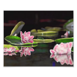 Lilien-Auflagen Fotodruck