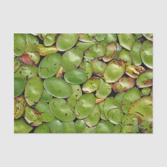 Lilien-Auflagen Seidenpapier (Vorderseite)