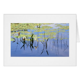 Lilien-Auflagen und See-Gras