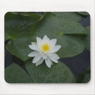 Lilien-Blume in den Lilien-Auflagen Mousepad
