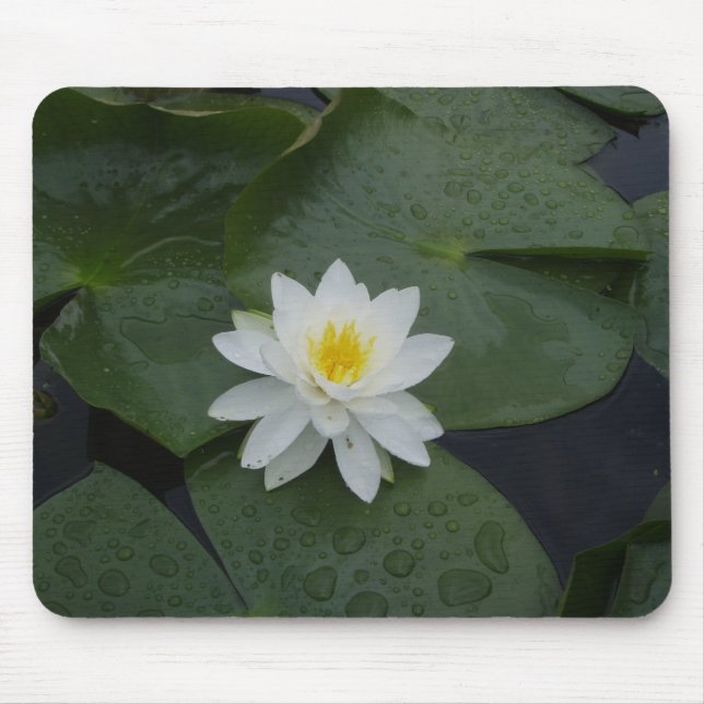 Lilien-Blume in den Lilien-Auflagen Mousepad (Vorne)