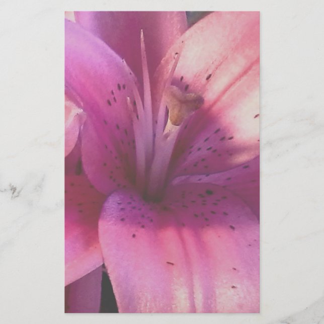 Lilien-Briefpapier Briefpapier (Vorderseite)