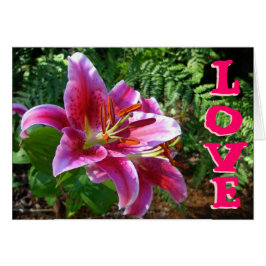 Lilien der Liebe