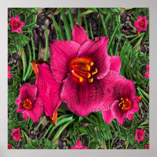 Lilien der Liebe.... Poster