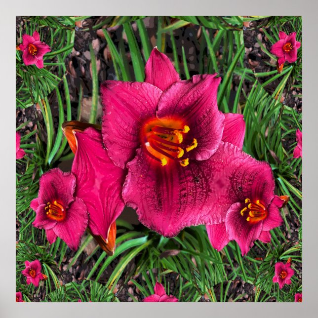 Lilien der Liebe.... Poster (Vorne)