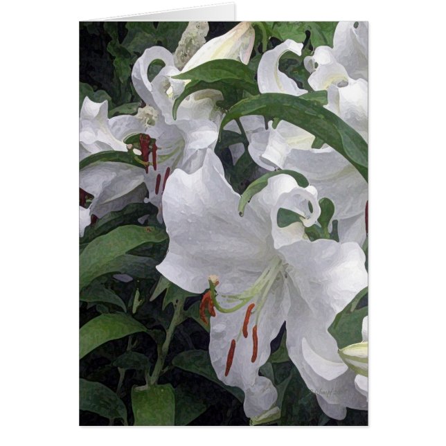 Lilien-Garten (Vorne)