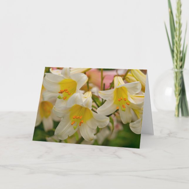 Lilien-Gruß-Karte Karte (Vorderseite)