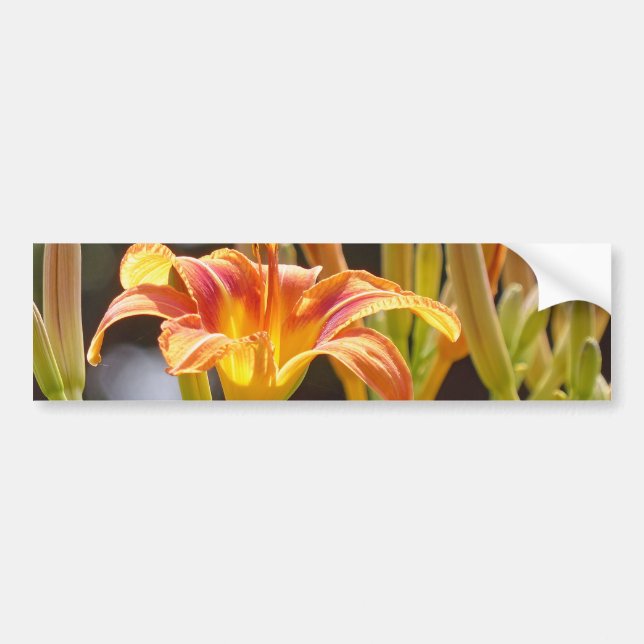 Lilien in der Sonne Autoaufkleber (Vorne)