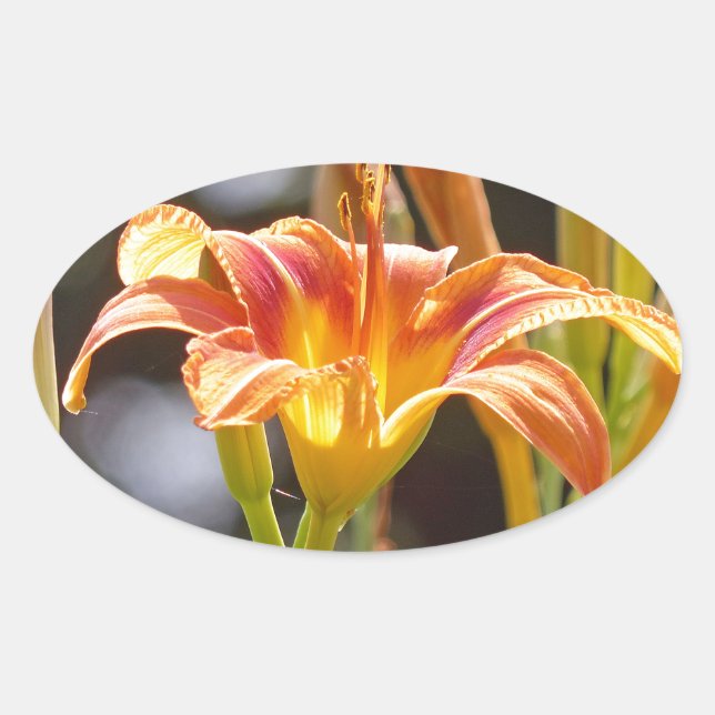 Lilien in der Sonne Ovaler Aufkleber (Vorderseite)