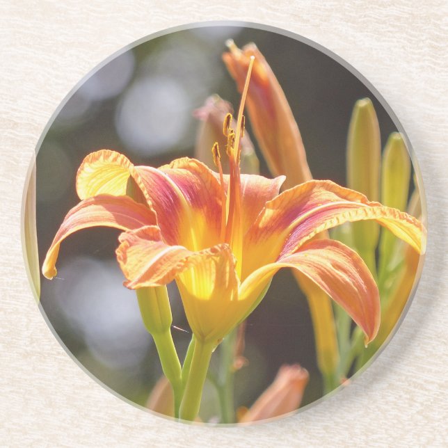 Lilien in der Sonne Untersetzer (Vorne)