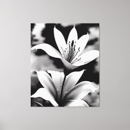 Lilien in Schwarz-Weiß-Leinwand Leinwanddruck