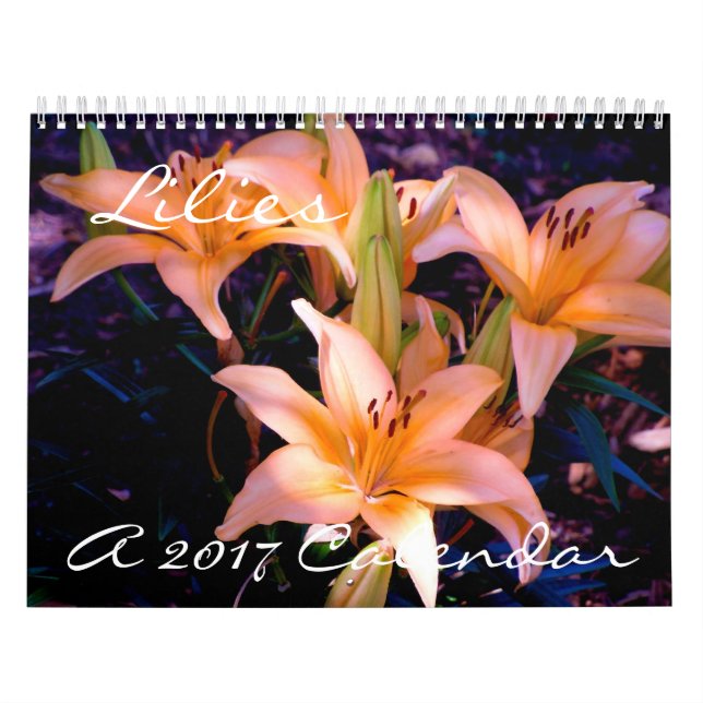 Lilien - Kalender 2017 (Titelbild)