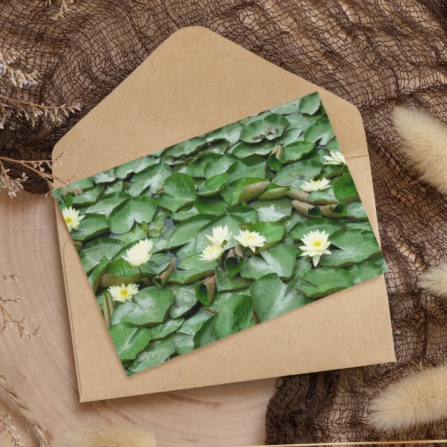 Lilien Karte (Von Creator hochgeladen)