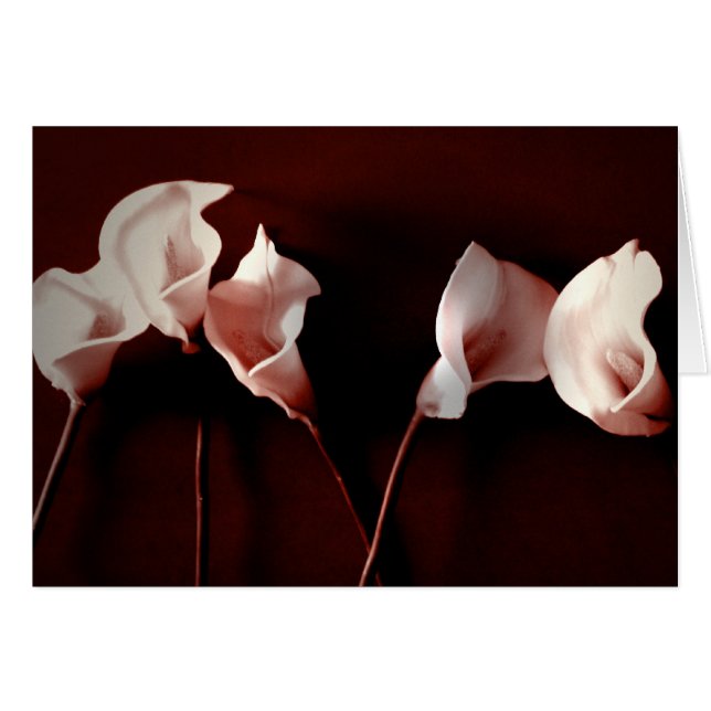 Lilien-Liebe (Vorderseite (Horizontal))