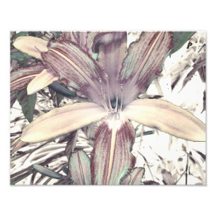 Lilien-Liebe Fotodruck