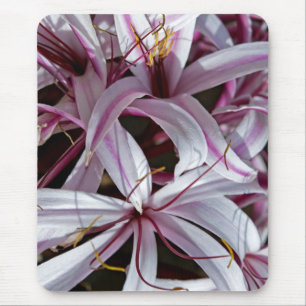 Lilien-Mauspad Mousepad