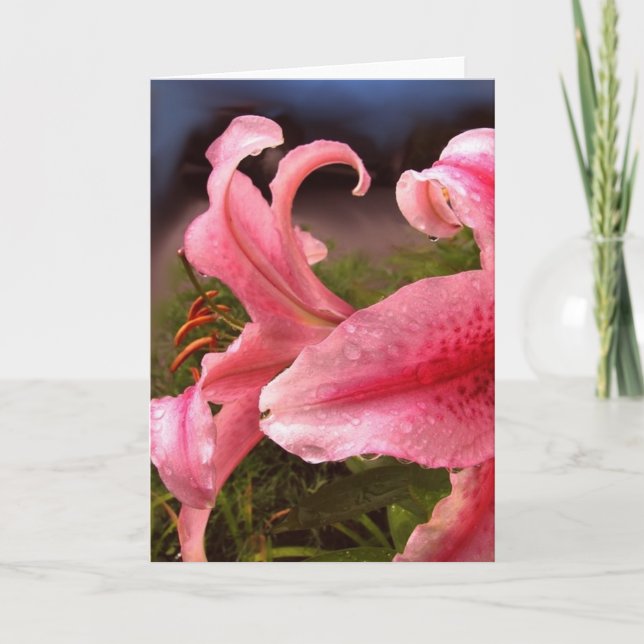 Lilien nach dem Regen Karte (Vorderseite)
