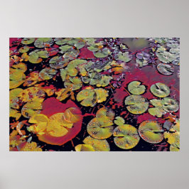 Lilien Poster