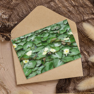 Lilien Postkarte