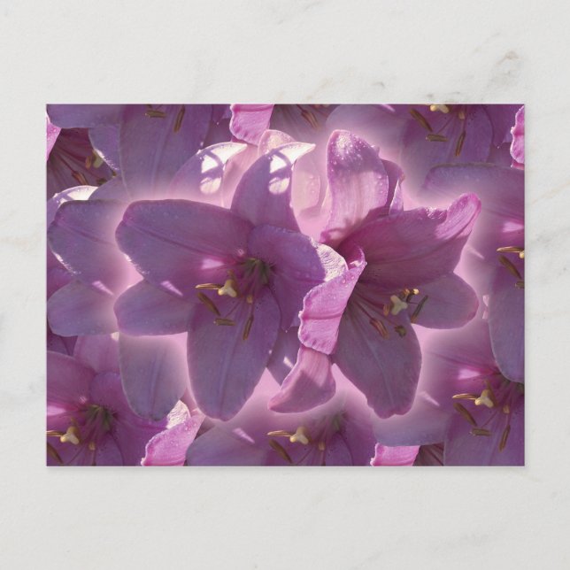 Lilien-Postkarte Postkarte (Vorderseite)