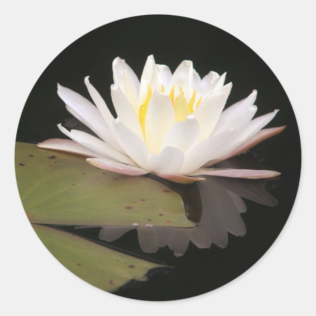 Lilien Runder Aufkleber (Vorderseite)