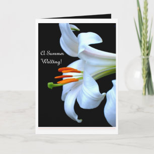 Lilien-Sommer Save the Date Wedding Ankündigung