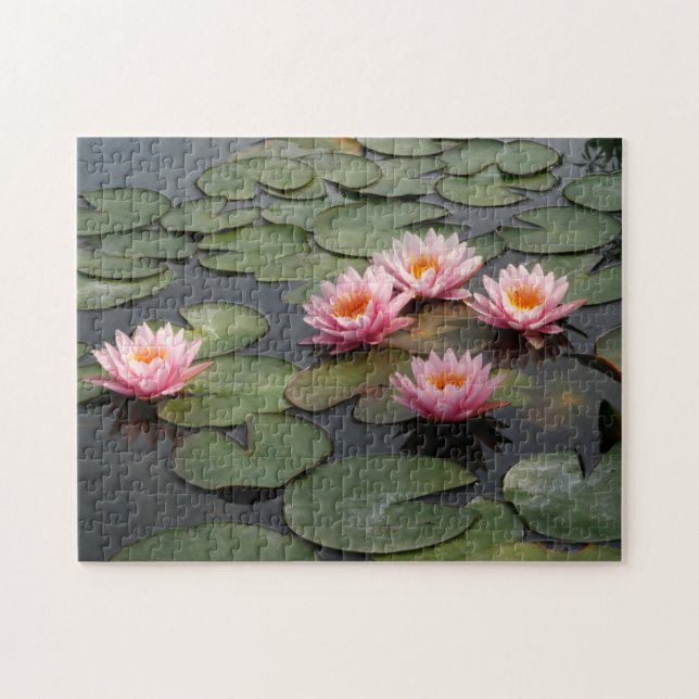 Lilien Teich  (Horizontal)
