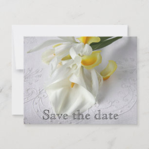 Lilien und Iris Save The Date