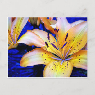 LilienArt (Begriffsklärung) Postkarte