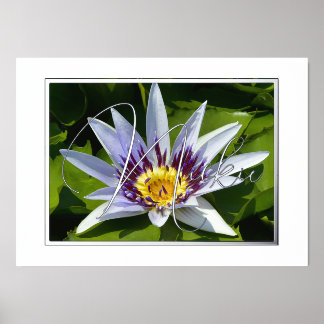 Lilienfolien, gelb und Lila Foliendrucke