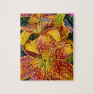 Lilies