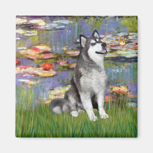 Lilies 2 - Alaskan Malamute Magnet